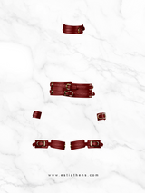 Burgundy Leather Harness Set with Gold Details