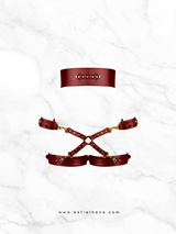 Burgundy Leather Harness Set with Gold Details